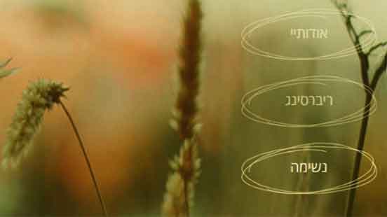 בניית אתר לעוסק זעיר