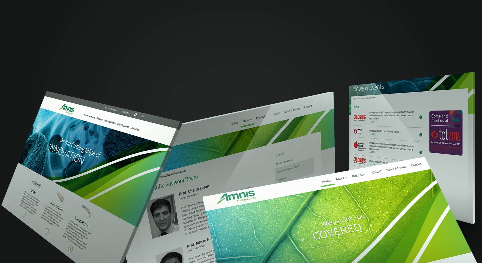 בניית אתר תדמית